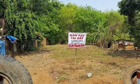 Tăng cường thực hiện các biện pháp quản lý đất đai trong vùng đồng bào dân tộc thiểu số