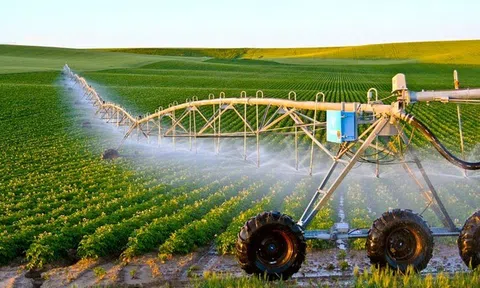 Đến năm 2025, hoàn thành xây dựng trung tâm dữ liệu tập trung của ngành nông nghiệp