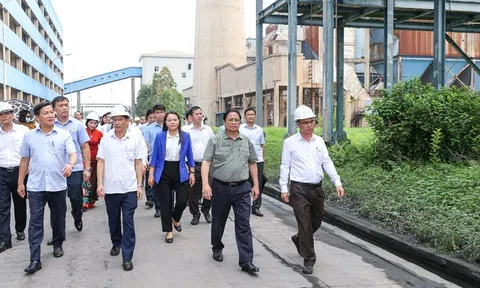 Chùm ảnh: Thủ tướng kiểm tra, khảo sát thực địa dự án Đạm Ninh Bình