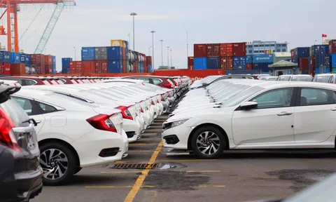 Siết quản lý thuế nhập khẩu xe không nhằm mục đích thương mại