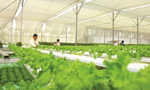 Đẩy mạnh áp dụng mô hình “Kinh tế tuần hoàn”