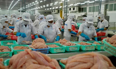 Tháo gỡ khó khăn để doanh nghiệp đẩy mạnh xuất khẩu thủy sản