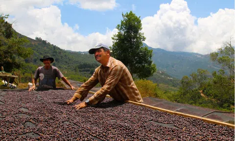 Cơ hội tạo sức bật cho nông sản từ hiệp định EVFTA