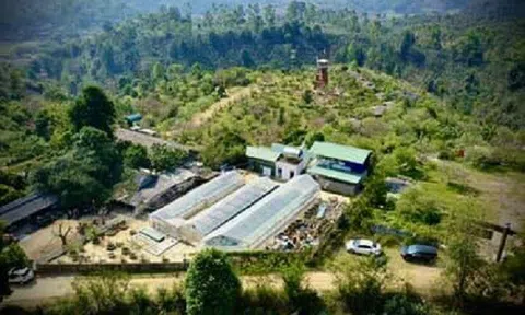 Loạt bài: Nhà văn vượt lên bệnh tật, xây dựng 2 mô hình kinh tế xanh