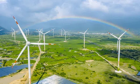 GE Việt Nam tố TRE “chen ngang” vào dự án điện gió tại Lạng Sơn