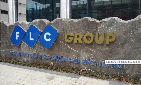 Cổ phiếu FLC sắp bị đình chỉ giao dịch