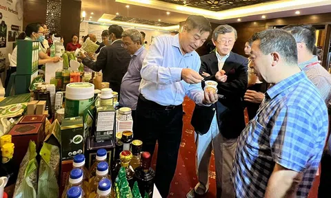 Jica hỗ trợ kết nối nông nghiệp Việt Nam - Nhật Bản
