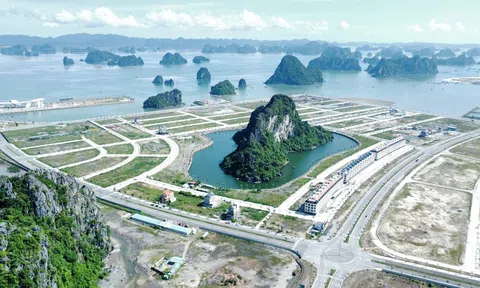 Thông tin mới nhất vụ dự án “hòn non bộ lớn nhất Việt Nam” ở Quảng Ninh