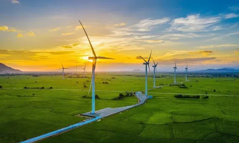 Điện gió - 'Chìa khóa' cho năng lượng tái tạo phát triển bền vững