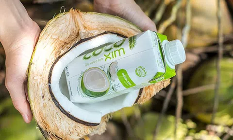 Dừa Việt Nam có mặt ở các siêu thị lớn nhất tại Australia