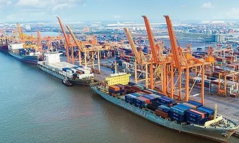 Cổ phiếu Cảng Hải Phòng bị hủy niêm yết từ ngày 31/08