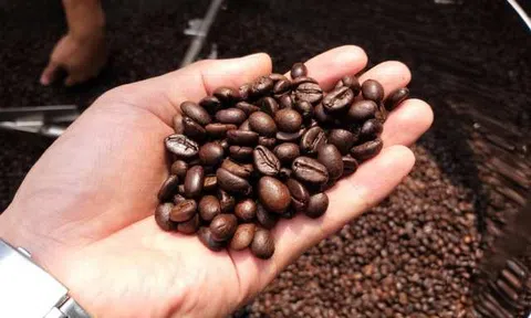 Mở rộng thị trường, xuất khẩu cà phê dự báo cán đích 4 tỷ USD