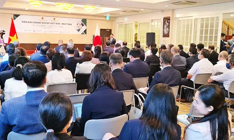 Diễn đàn doanh nghiệp Việt Nam - Nhật Bản: Đa dạng hóa cơ hội hợp tác