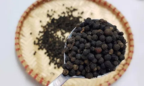 Giá tiêu hôm nay 25/8: Giá tiêu trong khoảng 67.500 - 71.000 đồng/kg