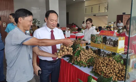 Xúc tiến thương mại kết nối tiêu thụ nhãn và nông sản Hưng Yên