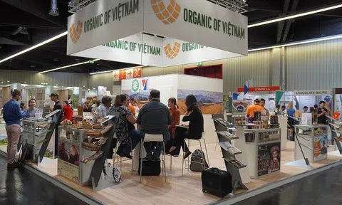 Các DN hữu cơ Việt Nam nhận ‘mưa’ tin vui sau lần tham dự Hội chợ quốc tế Biofach