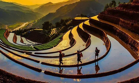 Thúc đẩy phát triển xanh, bền vững và toàn diện vùng trung du và miền núi phía Bắc