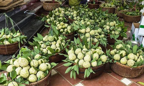 Lạng Sơn: Người dân Chi Lăng thu về 700 tỷ đồng mỗi năm nhờ trồng na