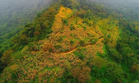 Bảo tồn hệ sinh thái tự nhiên Vườn Quốc gia Ba Vì