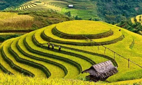 Nhiều hoạt động đặc sắc tại Lễ hội khám phá Danh thắng Quốc gia đặc biệt Ruộng bậc thang Mù Cang Chải