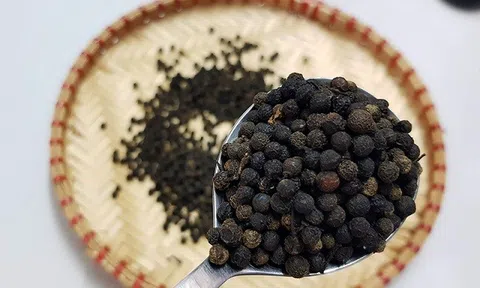 Giá tiêu hôm nay 30/8: Tiêu trong nước ổn định, tín hiệu tích cực từ thị trường Trung Quốc