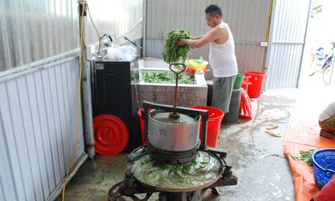 Cẩm Khê biến tiềm năng thành thế mạnh trong sản xuất nông nghiệp