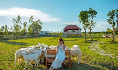 Trang trại nông nghiệp hoạt động du lịch cần có tiêu chí nào?