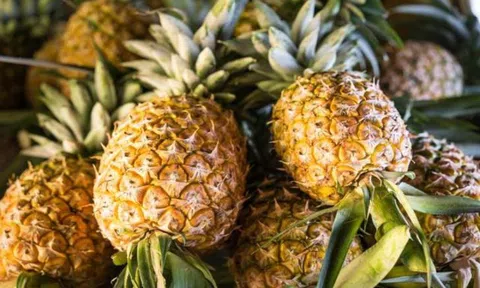Nhiều triển vọng cho xuất khẩu sản phẩm dứa vào thị trường Châu Âu
