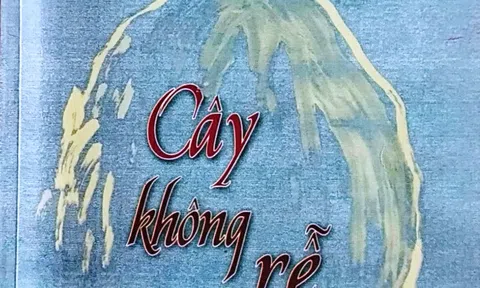 Chất nhà nông trong tập thơ "Cây không rễ"