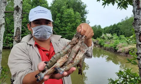 Tìm giải pháp phát triển thủy sản hữu cơ