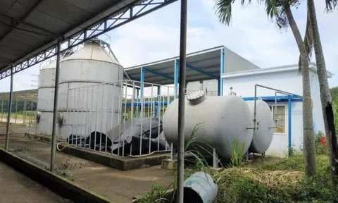 'Làm sạch' khí biogas cho phát điện
