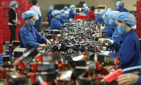 Việt Nam: Mắt xích quan trọng trong chuỗi cung ứng châu Á