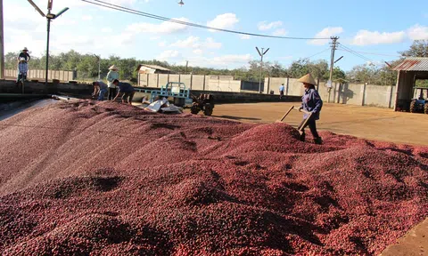 Đẩy mạnh xúc tiến kêu gọi đầu tư phát triển nông nghiệp