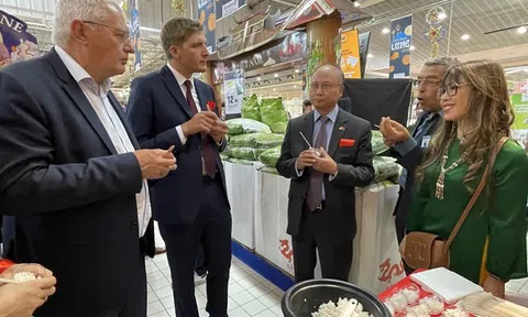 Gạo Việt Nam lần đầu tiên lên kệ siêu thị bán lẻ hàng đầu của Pháp