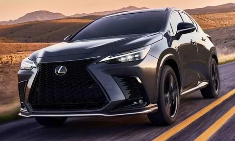 Toyota triệu hồi hàng chục nghìn xe Tundra và Lexus NX do lỗi phanh tay điện tử