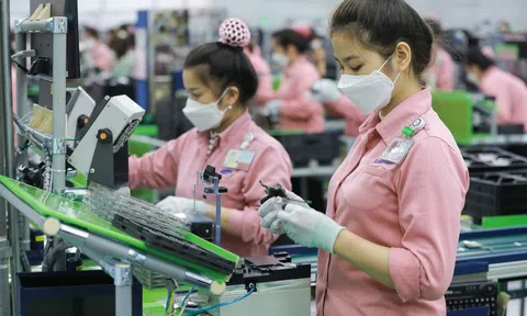 8 tháng năm 2022: Tổng kim ngạch xuất nhập khẩu tăng 15,5%