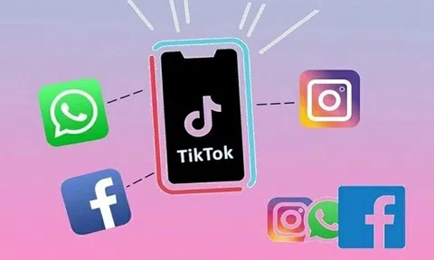 Google, Microsoft, Tiktok, Netflix... nộp ngân sách nhà nước hàng chục triệu USD