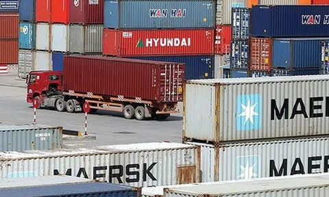 Khai sai thuế, SFI bị phạt và truy thu hơn 1 tỷ đồng