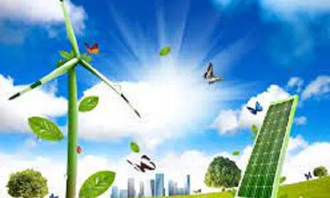 Thành lập Ban Chỉ đạo quốc gia về tăng trưởng xanh