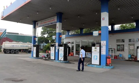 Thêm 5 doanh nghiệp đầu mối xăng dầu bị tước giấy phép