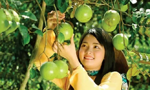 Bình Dương: Phát triển du lịch bền vững từ sinh thái miệt vườn