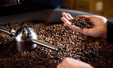 Tiêu dùng xanh ngày 7/9: Cà phê trong nước lấy lại mốc 48.000 đồng/kg