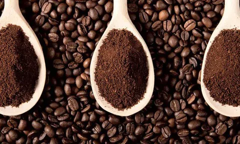 Tiêu dùng xanh ngày 9/9: Giá cà phê trong nước giảm 200 đồng/kg