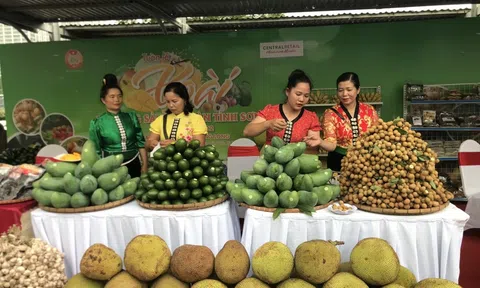 Chú trọng xây dựng cơ sở dữ liệu về thông tin cho nông sản miền núi