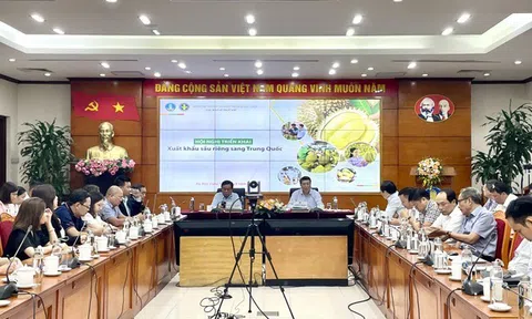 Siết chặt quản lý sản xuất sầu riêng, tạo ngành hàng xuất khẩu mạnh