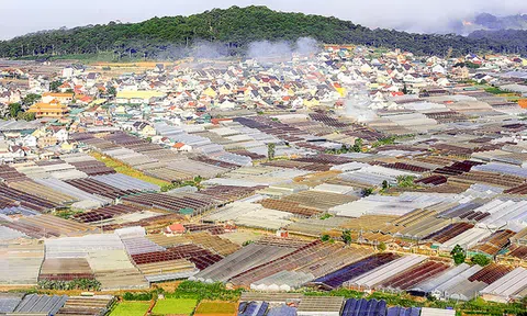 Công nghệ cao không gắn liền với nhà kính