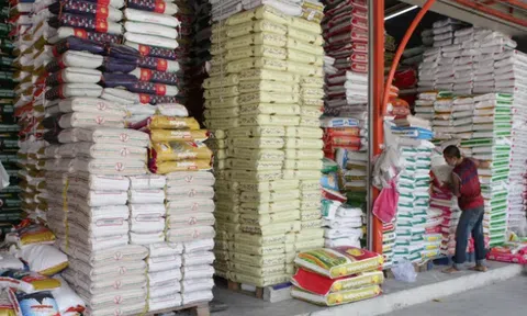 Thái Lan dự kiến xuất khẩu 7,5 triệu tấn gạo năm 2022