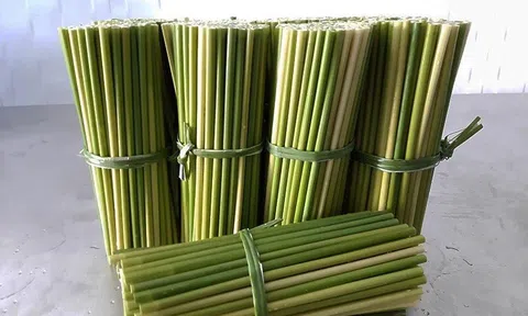 Tiêu dùng xanh để phát triển bền vững