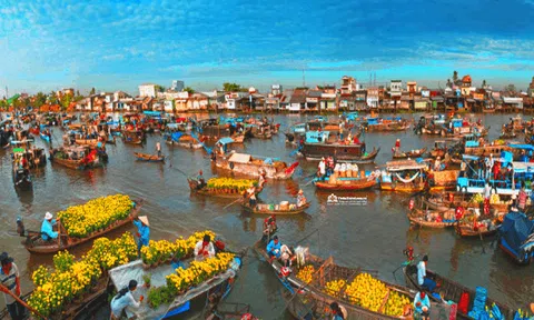 Cần Thơ tích cực giảm thiểu rác thải nhựa trong phát triển du lịch