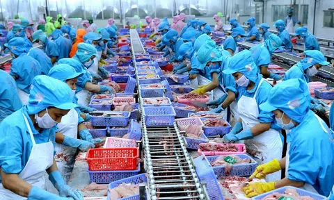 Xuất khẩu thuỷ sản sang Nga có nhiều tín hiệu tích cực
